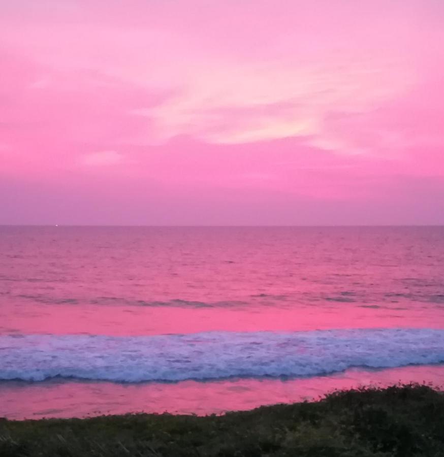 Sukriti beach Resort Varkala Exteriör bild